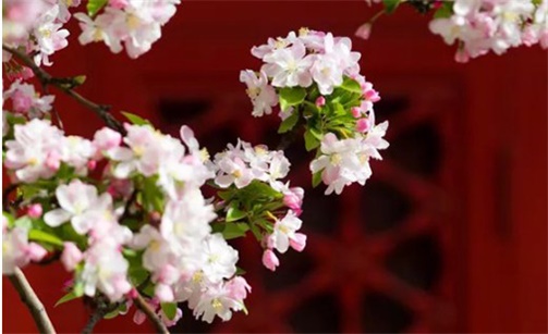 2023年2月15日是最好的动土吉日吗 宜建房动土吗