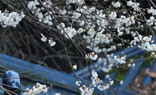 2023年2月19日雨水是开工好日子吗 开工复工最佳吉时