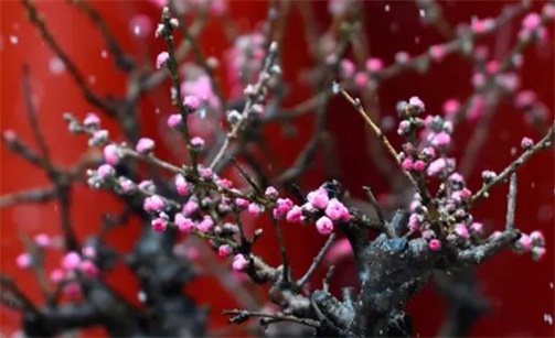 2023年2月8日动土开工好不好 是盖房的好日子吗