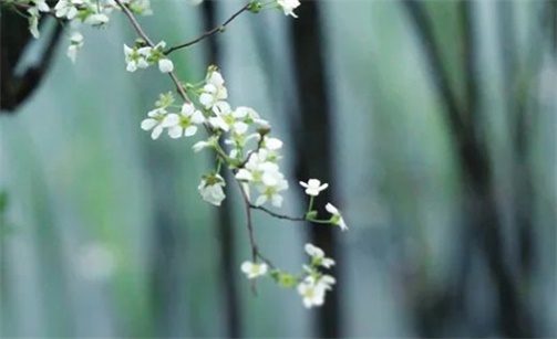 2023年2月16日宜出行吗 是出门的最佳吉日期吗
