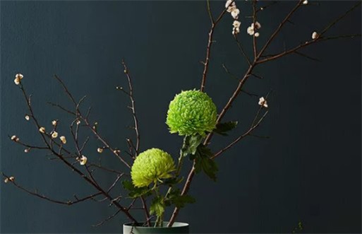 2023年2月14日装修吉时  今年正月二十四装修店面如何