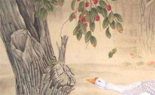 癸水男为什么要己土女来克 己土女和癸水男是正缘吗