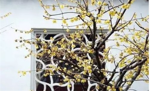 2023年2月24日是出行最吉利日子吗 外出好吗