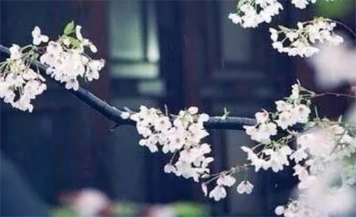 2023年2月23日安入户门好不好 是吉利的安装大门日吗