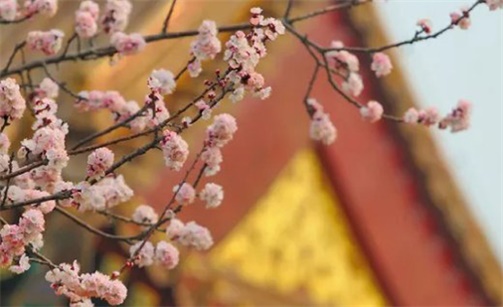 2023年2月26日可以出远门吗 是出行的好日子吗