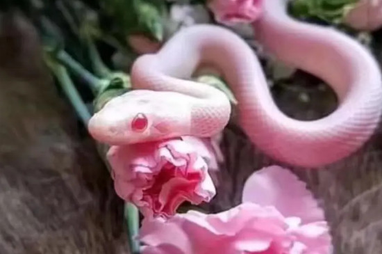 ܷ