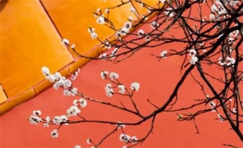 2023年4月5日可以安门吗,闰二月十五是拆门安门的黄道吉日吗