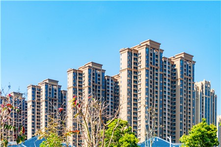 属兔2023年适合买房吗？属兔买房东户好西户好