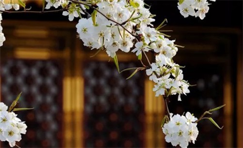 2023年4月7日是安门黄道吉日吗,闰二月十七宜安房门吗