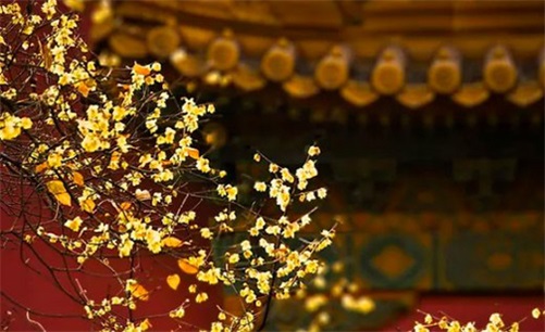 2023年4月18日是开店开业最佳吉日吗 宜做买卖生意吗