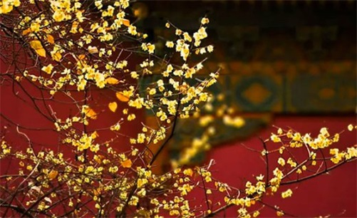 2023年4月19日是黄历开业交易吉日吗 开门做生意好吗