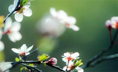 2023年4月19日宜复工吗,闰二月二十九是最佳开工好日子吗