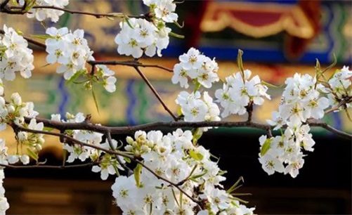 2023年4月8日是装换大门的好日子吗,闰二月十八是最佳安门吉日期吗