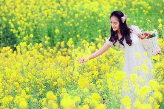 属狗人2024年全年运势 女性