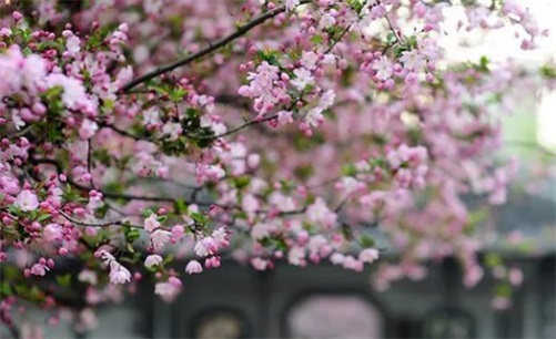 2023年4月20日是装换大门的好日子吗,三月初一是最佳安门吉日期吗