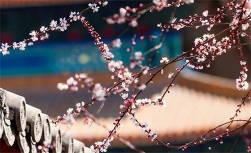 2023年4月13日是安门黄道吉日吗,闰二月二十三宜安房门吗