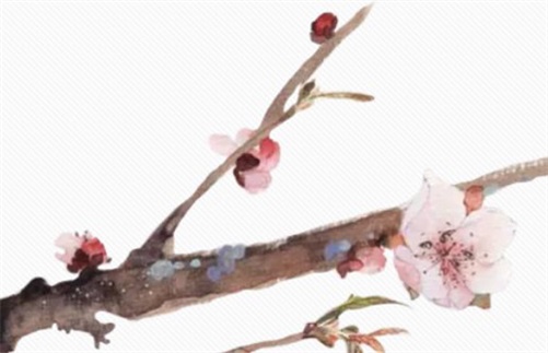 2023年5月4日青年节是最好的动土吉日吗,三月十五宜建房动土吗