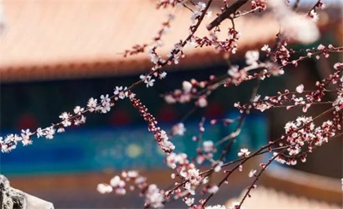 2023年4月11日可以安门吗,闰二月二十一是拆门安门的黄道吉日吗