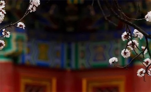 2023年农历三月二十一开门做生意好吗  是开市吉日吗