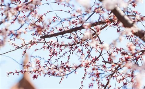 2023年4月14日是装换大门的好日子吗,闰二月二十四是最佳安门吉日期吗