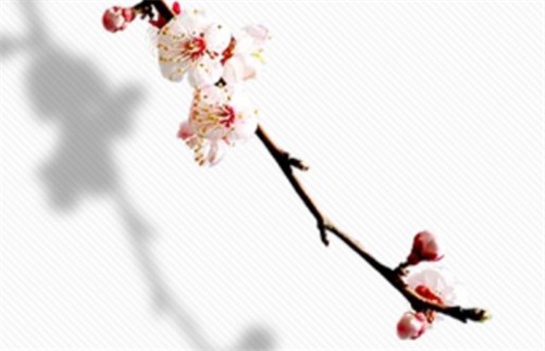 2023年5月14日母亲节可以动土吗,三月二十五是修造动土大吉日吗