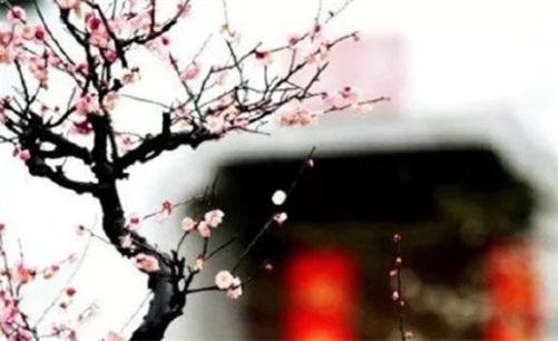 2023年4月30日安门吉日吉时黄道吉日吉时,三月十一是安门大吉日吗