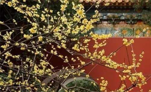 2023年4月23日可以安门吗,三月初四是拆门安门的黄道吉日吗