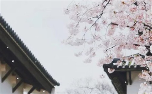 2023年4月5日出行好吗 2023年4月5日吉时