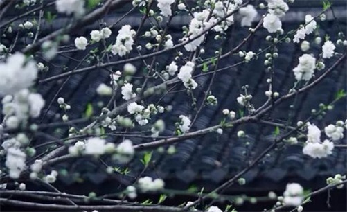 2023年4月18日安门吉日吉时黄道吉日吉时,闰二月二十八是安门大吉日吗
