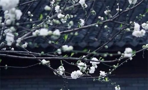 2023年4月19日是安门黄道吉日吗,闰二月二十九宜安房门吗