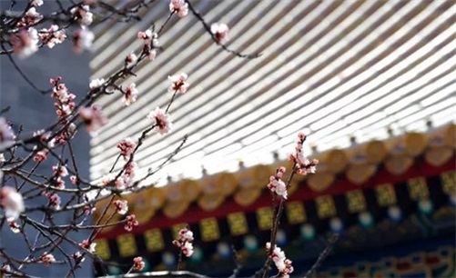 2023年4月25日是安门黄道吉日吗,三月初六宜安房门吗