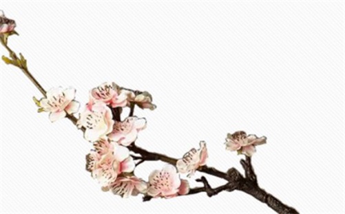 2023年5月开业黄道吉日 今年5月哪天适合开业