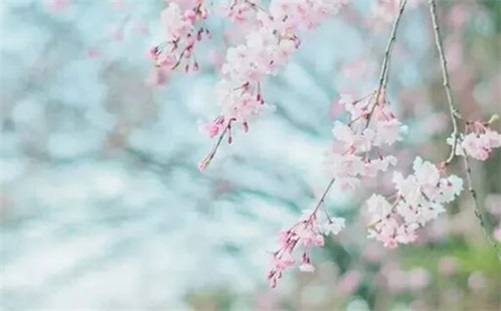 生肖牛2023年6月出行最吉利好日子黄历