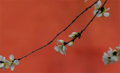 2023年4月22日安门哪几方大利,三月初三适合安门的吉时查询