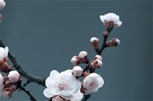 2023年农历五月出行黄道吉日有哪几天 宜出行的日子