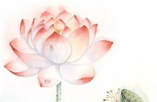 属兔人2023年5月份运势 天喜桃花降临