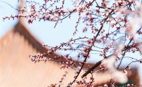 2023年4月12日安门吉日吉时黄道吉日吉时,闰二月二十二是安门大吉日吗