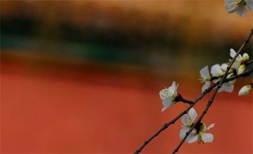 2023年4月24日安门吉日吉时黄道吉日吉时,三月初五是安门大吉日吗