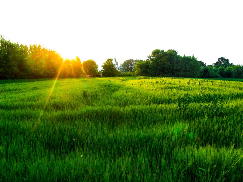 78属马2024 78年属马的人2024年运势及运程