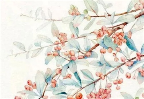 2023年芒种在哪一天 今年芒种那天适合安门吗