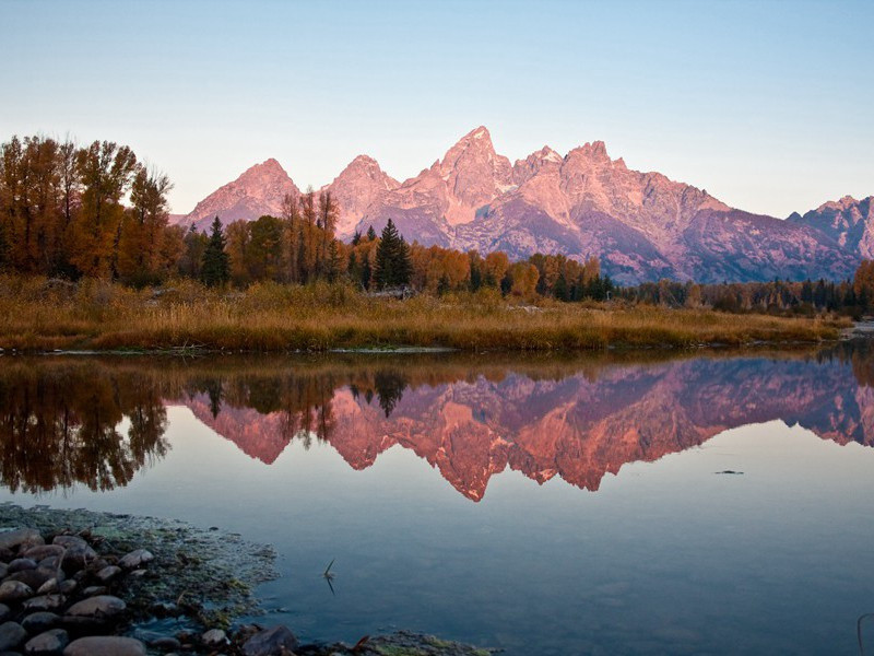 今年属马婚姻状况 90年属马的婚姻状况怎么样