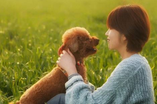 82属狗女人命苦