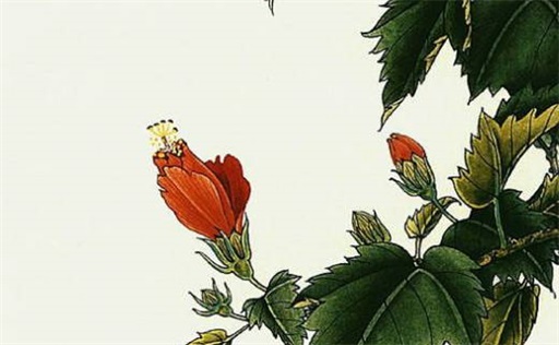 好听起店铺名字大全免费取名（200个）