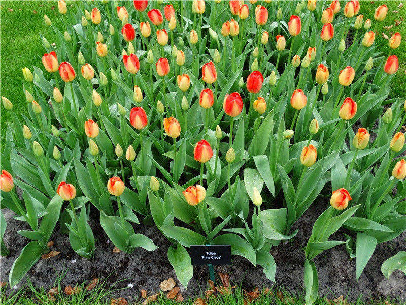 78年属马女注定的情人 2024属马会为了小三离婚吗