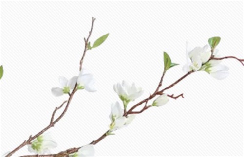2023年5月28日是最好的动土吉日吗,四月初十宜建房动土吗