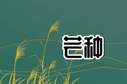 芒种忙什么 芒种节气要做什么