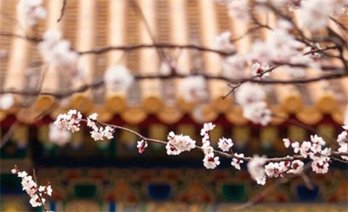 2023年10月30日安入户门好不好,九月十六是吉利的安装大门日吗