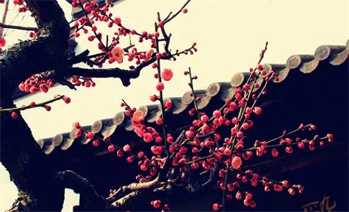 2023年10月16日开业吉利吗 是开市吉日吗