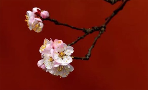 2023年10月23日是装换大门的好日子吗,九月初九是最佳安门吉日期吗