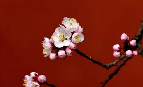 2023年10月24日安入户门好不好,九月初十是吉利的安装大门日吗